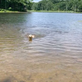 Mill Pond Recreation Area - Dog and horse beach - Parks Near Me - West Newbury, Massachusetts