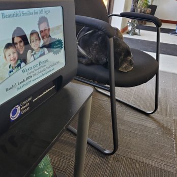 Quality Dent Removal - Waiting area pup - Body Shops Near Me - Apple Valley, Minnesota Quality Dent Removal - Waiting area pup - Body Shops Near Me - Apple Valley, Minnesota