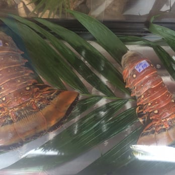 Blue Lobster - Huge lobster tails! - Seafood Near Me - Playa del Carmen, ROO Blue Lobster - Huge lobster tails! - Seafood Near Me - Playa del Carmen, ROO