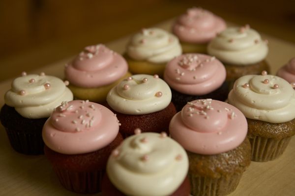 Molly's Cupcakes by null