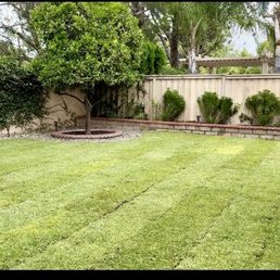 Sod Install Sod Install
