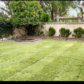 Venegas Landscape & Irrigation Services - Sod Install - Landscaping Near Me Venegas Landscape & Irrigation Services - Sod Install - Landscaping Near Me