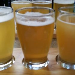 Festival Beer Garden - Brouwerijwest Tasting