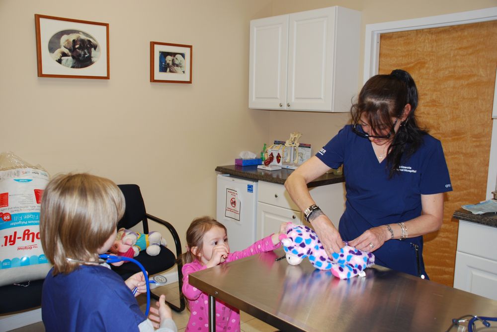 MINEOLA ANIMAL HOSPITAL 29 Photos & 37 Reviews Veterinarians 132