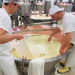 Consorzio del Formaggio Parmigiano Reggiano