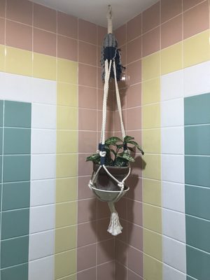 Shaka Shaka Tiki by null