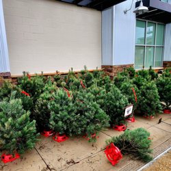 Sprouts Farmers Market - Dec 2022: Under $20 & with a stand! I'll be back next December:)