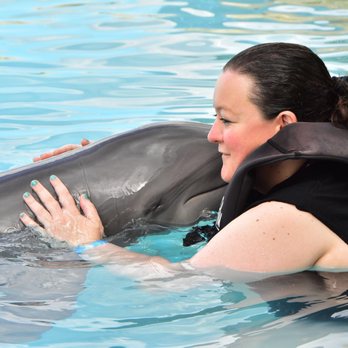 Dolphinaris - Arts & Entertainment Near Me - San Miguel de Cozumel, ROO