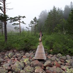 Skuleskogen National Park - Across the stone field