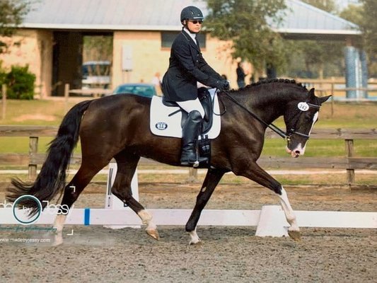 Eire Equine Riding Academy