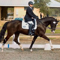 Eire Equine Riding Academy