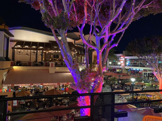 Jazz Kitchen Coastal Grill and Patio by null