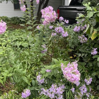 Astor House Bed & Breakfast - Hotels Near Me - Green Bay, Wisconsin