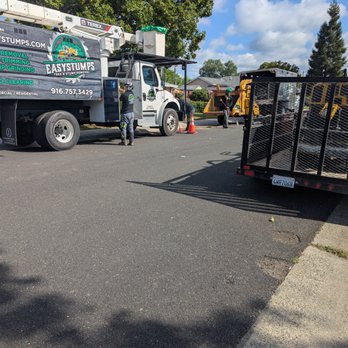 Easy Stumps Tree Services - Tree Services Near Me - Folsom, California Easy Stumps Tree Services - Tree Services Near Me - Folsom, California