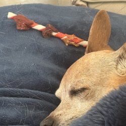 Encore Auto Repair & Sales - My dog gets hungry and tiredness he's 16 mfers yearly old.  He misses his 6 teethings are mine.   Atreyu' please save me from the nothing