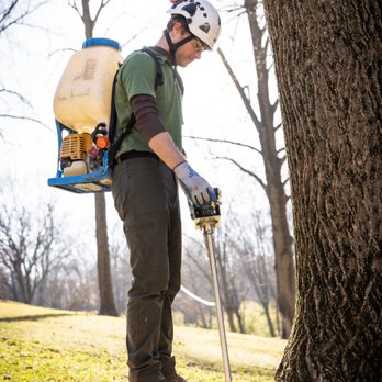 King Tree Specialists - Tree Services Near Me - Groveland, Illinois King Tree Specialists - Tree Services Near Me - Groveland, Illinois