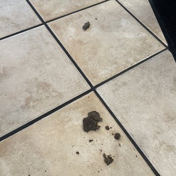 Krispy Kreme - Human feces / dirt just chilling on the floor. I was here for about 45 min and it was here when I ordered and it was still there when I left - Donuts Near Me - Concord, California Krispy Kreme - Human feces / dirt just chilling on the floor. I was here for about 45 min and it was here when I ordered and it was still there when I left - Donuts Near Me - Concord, California
