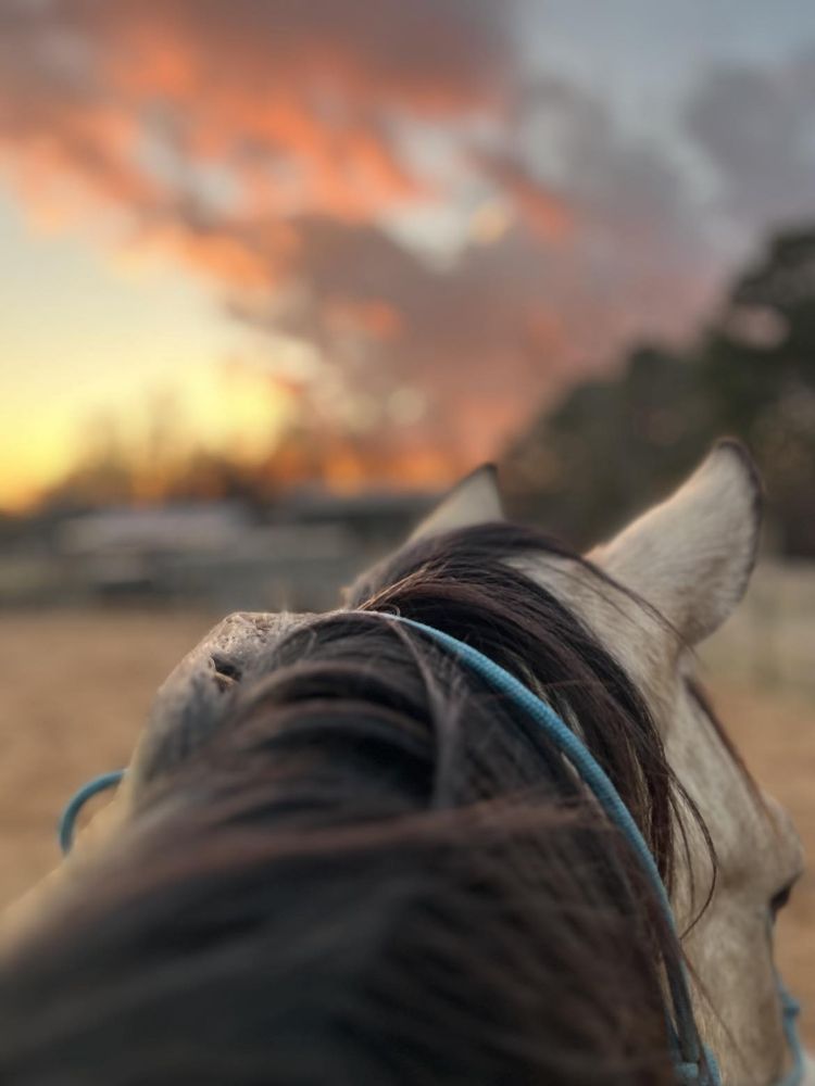 Still Waters Farm - equestrian in Conover, NC