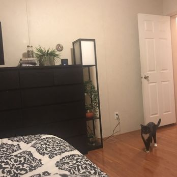 Perge Carpet - New flooring in bedroom - Carpeting Near Me - Camp Springs, Maryland