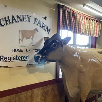Chaney's Dairy Barn - Ice Cream & Frozen Yogurt Near Me - Bowling Green, Kentucky Chaney's Dairy Barn - Ice Cream & Frozen Yogurt Near Me - Bowling Green, Kentucky