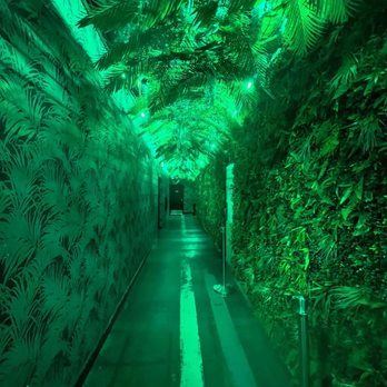 Palma - Hallway to bathroom - Sushi Bars Near Me - Phoenix, Arizona Palma - Hallway to bathroom - Sushi Bars Near Me - Phoenix, Arizona