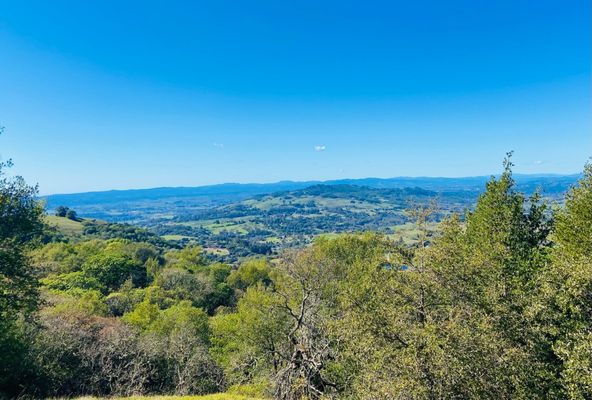 North Sonoma Mountain Regional Park by null