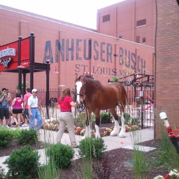 Budweiser Brewery Experience - Beer Tours Near Me - Saint Louis, Missouri Budweiser Brewery Experience - Beer Tours Near Me - Saint Louis, Missouri