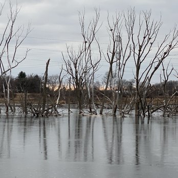 Van Patten Woods Forest Preserve - Boating Near Me - Wadsworth, Illinois