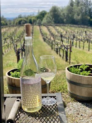 Tag + Jug Cider Co. and Taphouse by null