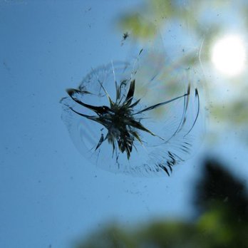 Windshield Express - Repair it before it runs!! - Auto Glass Services Near Me - Columbus, Mississippi Windshield Express - Repair it before it runs!! - Auto Glass Services Near Me - Columbus, Mississippi