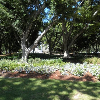 Hyde Park - Parks Near Me - Sydney, NSW
