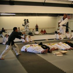 Yes. our master can fly!