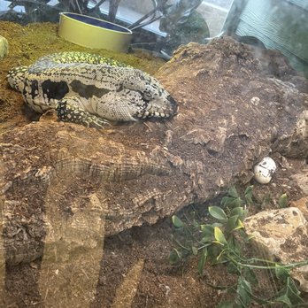 Zookeeper - Pet Stores Near Me - Austin, Texas