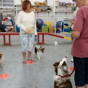 Lucky Dog Company - Pet Training Near Me - Naples, Florida Lucky Dog Company - Pet Training Near Me - Naples, Florida