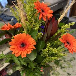 Pop of orange Gerbera daisies