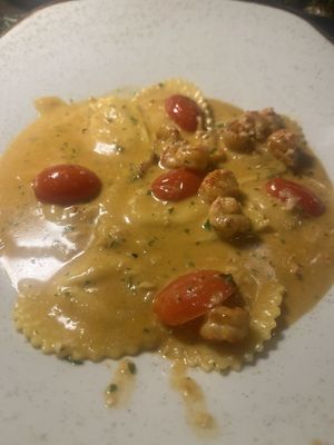 Salt & Stone by null