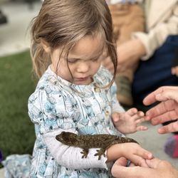 So Cal Jungle Reptile Parties