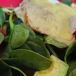 D'lish Catering and Events - Breakfast bowl, eggs w hollandaise sauce, spinach, tomato, avocado and sliced potatoes. I also had some tea