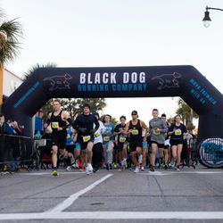 Black Dog Running Company
