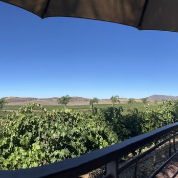 Sidecar Tours - View from first stop on the tour - Wine Tours Near Me - Temecula, California Sidecar Tours - View from first stop on the tour - Wine Tours Near Me - Temecula, California