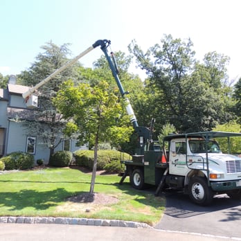 Steve's Tree Service - Firewood Near Me Steve's Tree Service - Firewood Near Me