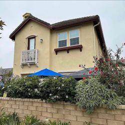 Malibu Canyon Landscape & Maintenance - Our plants have grown providing our privacy