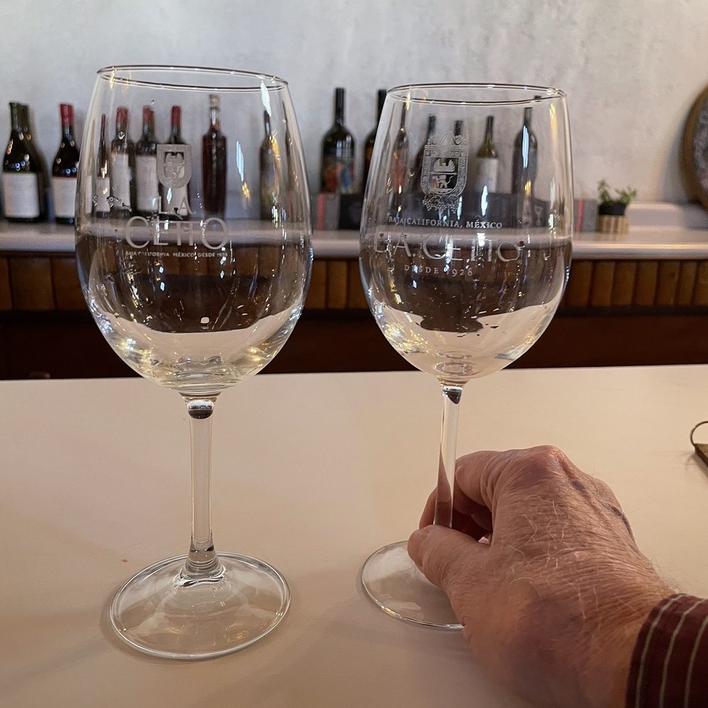 LA Cetto - White wine sample.  I liked it a lot. - Wineries Near Me - Valle de Guadalupe, BCN