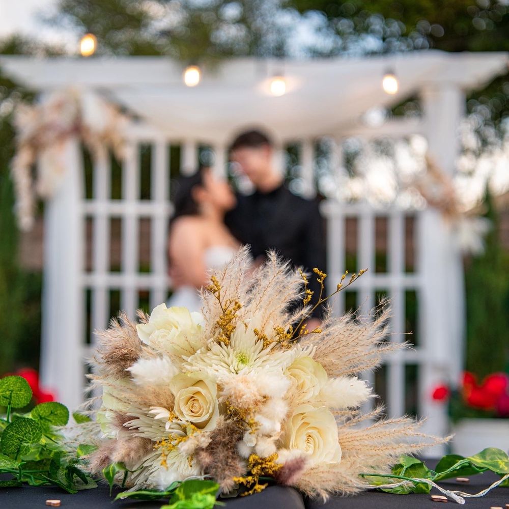 MC GARDENS Updated August 2024 46 Photos & 19 Reviews 4266 E