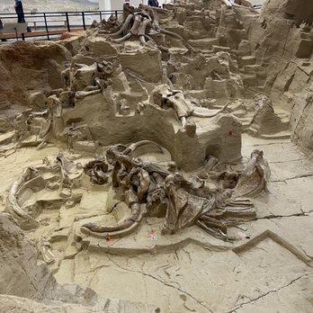 The Mammoth Site - Museums Near Me - Hot Springs, South Dakota The Mammoth Site - Museums Near Me - Hot Springs, South Dakota