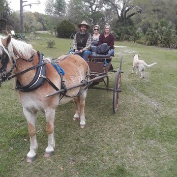 Dragonfly Ranch Florida - March 2019 Carriage ride - Horseback Riding Near Me - Live Oak, Florida