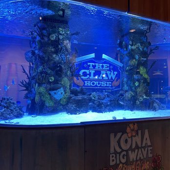 The Claw House - Super cool salt water tank to look at while you wait - Seafood Near Me - Murrells Inlet, South Carolina