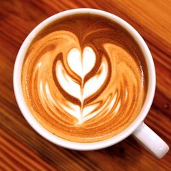 Desert Dog Coffee