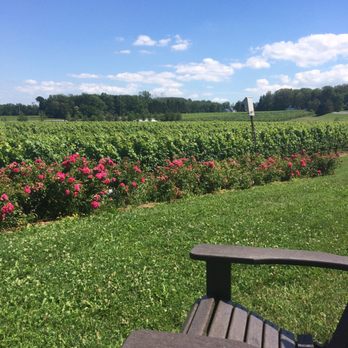 Rosewood Estates Winery - Grab an Adirondack chair and  feel free to sit on the grounds with this view - Wineries Near Me - Beamsville, Ontario