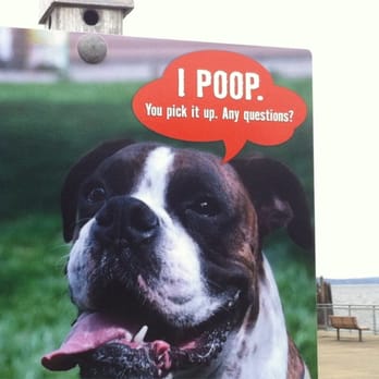 Dickman Mill Park - Good pet owners always pick up what is left behind. - Parks Near Me - Tacoma, Washington